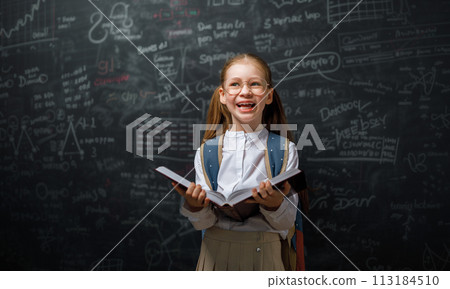 Kid in class on background of blackboard Kid in class on background of blackboard 113184510