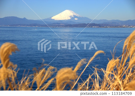 The sea and Mt. Fuji seen through the grass The sea and Mt. Fuji seen through the grass 113184709