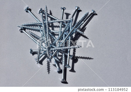 多個螺絲（粗牙）/高對比度 113184952