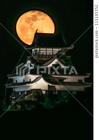 Inuyama castle and full moon 113185352