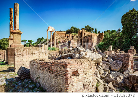 Roman Forum. Ancient, beautiful, incredible Rome. 113185378
