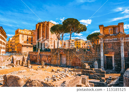 Roman Forum. Ancient, beautiful, incredible Rome, where every place is filled with history. 113185525
