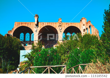 Roman Forum. Ancient, beautiful, incredible Rome, where every place is filled with history. 113185542