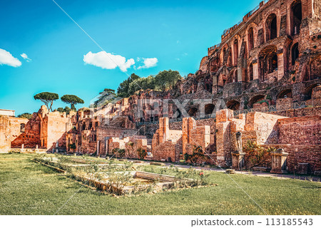 Roman Forum. Ancient, beautiful, incredible Rome, where every place is filled with history. 113185543