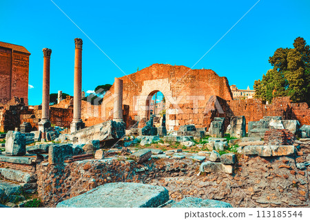 Roman Forum. Ancient, beautiful, incredible Rome. 113185544
