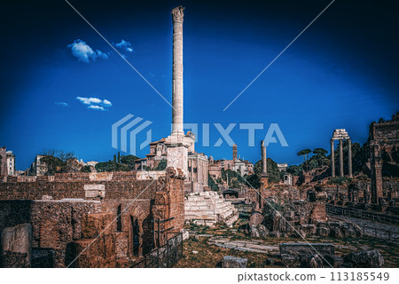 Roman Forum. Ancient, beautiful, incredible Rome. 113185549