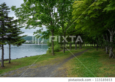 A lush promenade surrounded by trees along the lake A lush promenade surrounded by trees along the lake 113185653