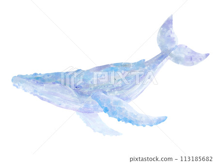 水彩_座頭鯨 113185682
