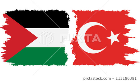 Turkey and Palestine grunge flags connection vector Turkey and Palestine grunge flags connection vector 113186381