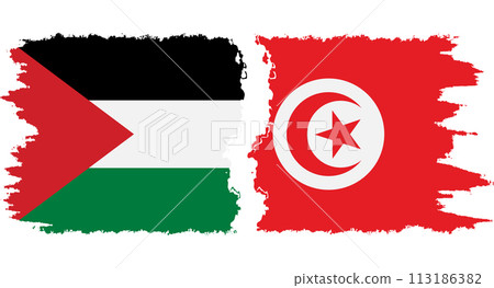 Tunisia and Palestine grunge flags connection vector Tunisia and Palestine grunge flags connection vector 113186382