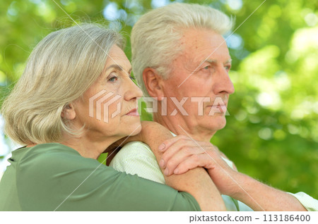 Portrait of a happy senior couple in summer outside 113186400