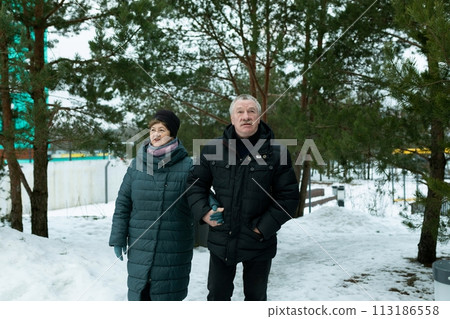 Cute retired couple walking in the park and enjoying a conversation 113186558