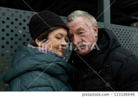 Cute mature couple talking to each other while looking down the street 113186646