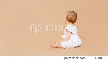 Cute baby sitting on brown studio background, back view, blank copy space for advertising text 113188013