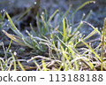 winter frost dew 113188188