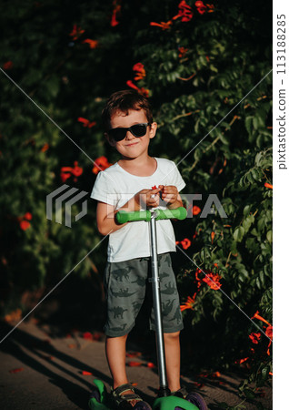 portrait of preschool boy on scooter in summer in park 113188285