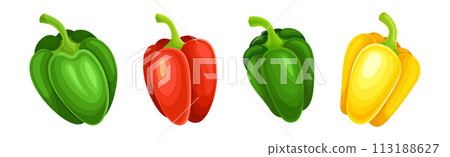 Ripe Pepper Vegetable of Bright Color Vector Set 113188627