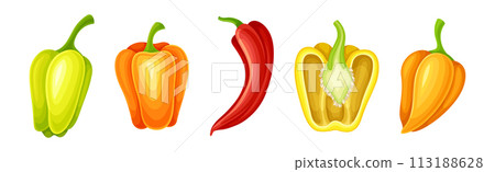 Ripe Pepper Vegetable of Bright Color Vector Set 113188628