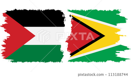 Guyana and Palestine grunge flags connection vector Guyana and Palestine grunge flags connection vector 113188744