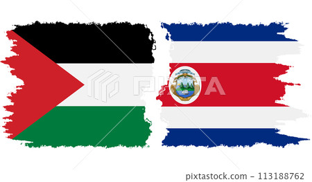 Costa Rica and Palestine grunge flags connection vector Costa Rica and Palestine grunge flags connection vector 113188762