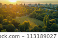 aerial view of downtown 113189027