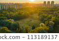 aerial view of city park and sea water 113189137
