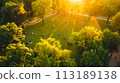 aerial view of green golf course with trees 113189138