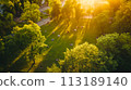 aerial city view with crossroads and roads, houses 113189140