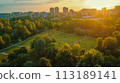 aerial view of city park with trees 113189141
