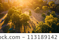 aerial view of the city park 113189142