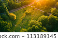 aerial view of a road in the forest 113189145