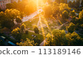 aerial view of the beautiful tropical forest 113189146