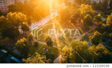 aerial view of the beautiful tropical forest 113189146