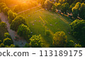 aerial view of forest on the mountain river 113189175