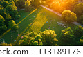aerial view of the rural road in the forest 113189176