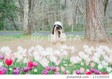 A woman takes pictures of a beautiful tulip field in a park in Saitama 113189303