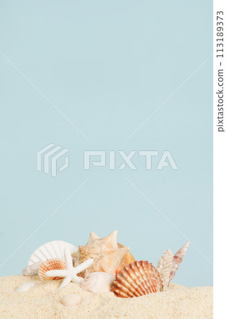 Shells on sandy beach, vertical blue background with copy space Shells on sandy beach, vertical blue background with copy space 113189373
