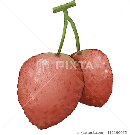 Red Lychee summer fruit 113190055