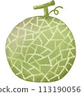 Green Melon summer fruit 113190056