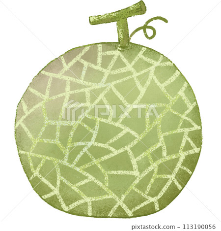 Green Melon summer fruit 113190056