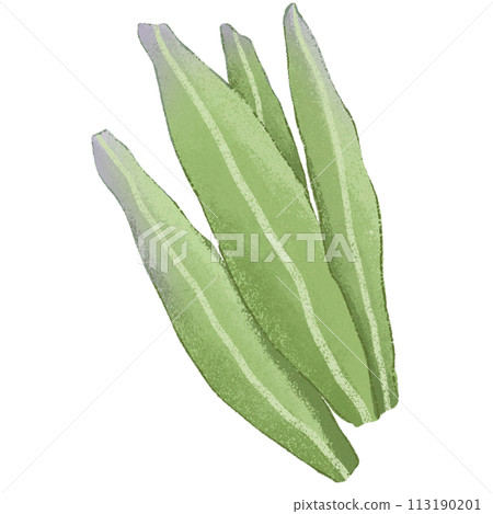 green leaf isolated clipart 113190201