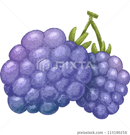 Blue Blackberry summer fruit 113190258