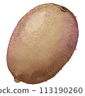 Brow Kiwi summer fruit 113190260
