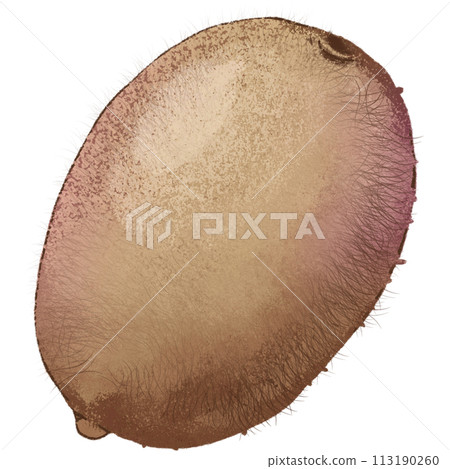 Brow Kiwi summer fruit Brow Kiwi summer fruit 113190260