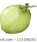 Green Coconut summer fruit 113190261