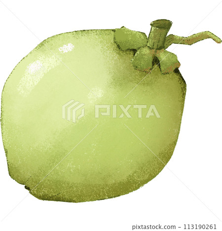 Green Coconut summer fruit 113190261