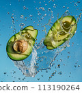 plash of Freshness 113190264
