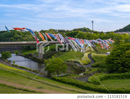 Carp streamers flying in the sky at the Carp Streamer Festival at Wakamiya Park in Morinosato, Atsugi City Carp streamers flying in the sky at the Carp Streamer Festival at Wakamiya Park in Morinosato, Atsugi City 113191519