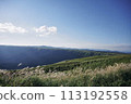 Scenery of Mt. Aso with swaying pampas grass 113192558