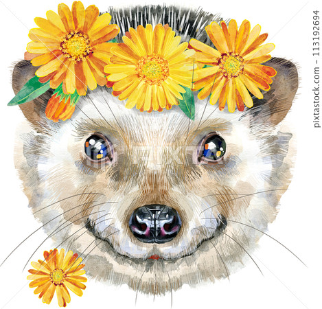 Watercolor portrait with flowers of a hedgehog on white background 113192694